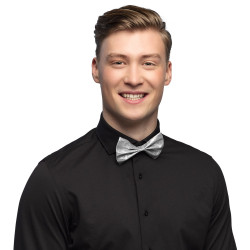 Motýlek stříbrný glitrový